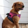 American River Choke Free Dog Harness Ombre Collection