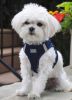 American River Solid Ultra Choke Free Dog Harness