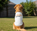 Crumb Licker Dog Shirt