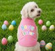 Hoppy Easter Dog Shirt