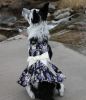 Purple Twilight Hawaiian Dog Dress with Matching Leash