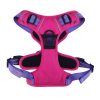 Venture Paw Pull Control Dog Harness